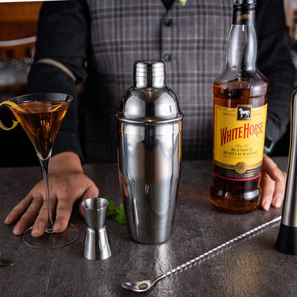 Stainless Steel Cocktail Shaker Decanter and Shaker For Home Bar Mixing Drinks