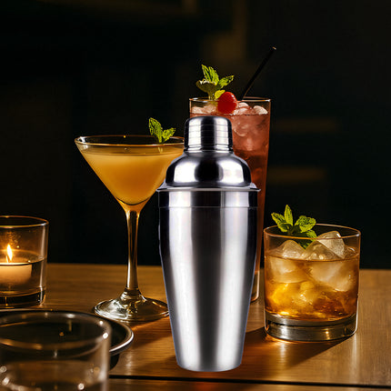 Stainless Steel Cocktail Shaker Decanter and Shaker For Home Bar Mixing Drinks