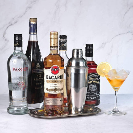 Stainless Steel Cocktail Shaker Decanter and Shaker For Home Bar Mixing Drinks