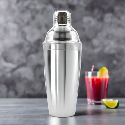 Stainless Steel Cocktail Shaker Decanter and Shaker For Home Bar Mixing Drinks