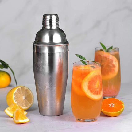 Stainless Steel Cocktail Shaker Decanter and Shaker For Home Bar Mixing Drinks