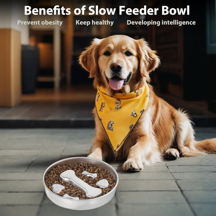 Large Capacity Stainless Steel Pet Slow Feeder Bowl Non-Slip Anti-Spill Durable