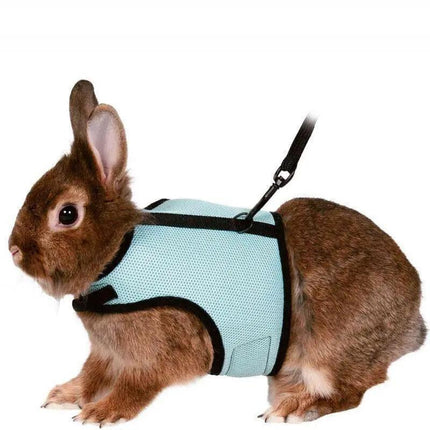 Small Animal Harness Guinea Pig Forret Hamster Rabbit Squirrel Vest Clothes Lead - Aimall