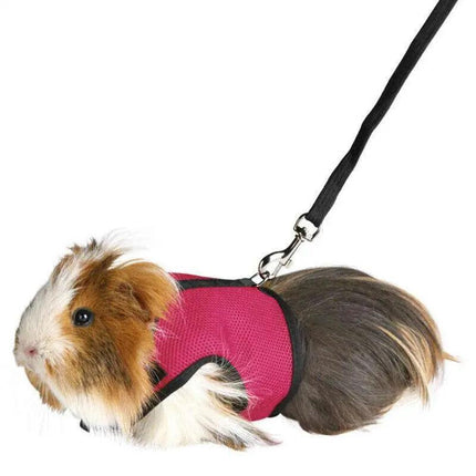 Small Animal Harness Guinea Pig Forret Hamster Rabbit Squirrel Vest Clothes Lead - Aimall