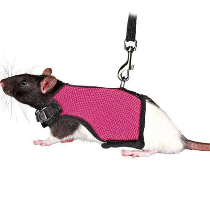 Small Animal Harness Guinea Pig Forret Hamster Rabbit Squirrel Vest Clothes Lead - Aimall