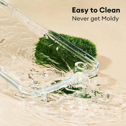 Hamster Cage Activity Platform Safe Non-toxic for Dwarf Hamsters Small Pets