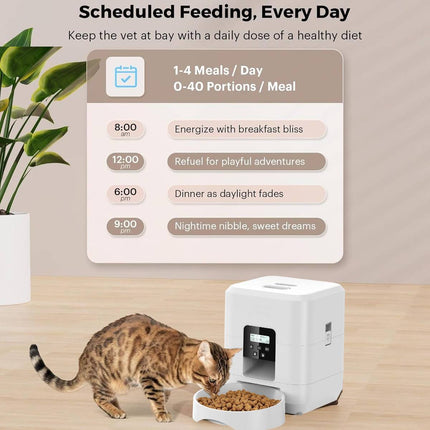 2L Automatic Pet Feeder Timed Cat Dog Food Dispenser with LCD Large Window