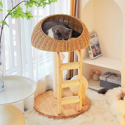 Solid Wood Integrated Cat Climbing Frame Bed Tree with Scratch Post for Cats