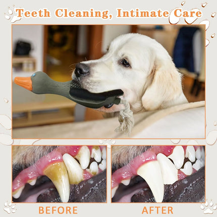 Pet Dog Chew Toy Interactive Sound Making Molar Training Toy Teeth Cleaning Play