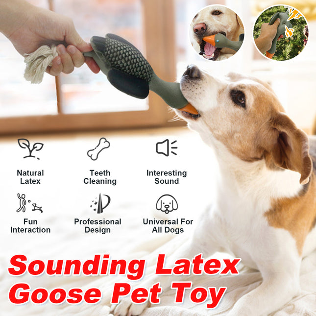 Pet Dog Chew Toy Interactive Sound Making Molar Training Toy Teeth Cleaning Play