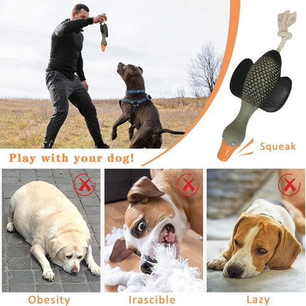 Pet Dog Chew Toy Interactive Sound Making Molar Training Toy Teeth Cleaning Play