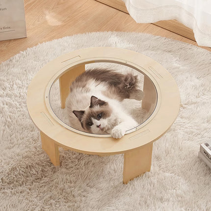 Cat Bed Space Capsule Design Wooden Jumping Platform Indoor Pet Sleeping Nest