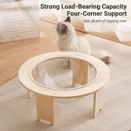 Cat Bed Space Capsule Design Wooden Jumping Platform Indoor Pet Sleeping Nest