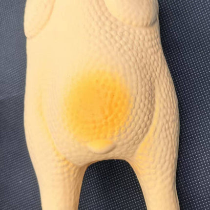 Squeaky Chicken Pet Chew Toy Durable Interactive Boredom Relief Dog Cat Play
