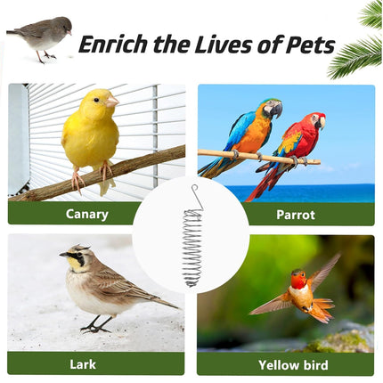 Stainless Steel Parrot Feeder Hanging Type Durable for Bird Cage Food Container