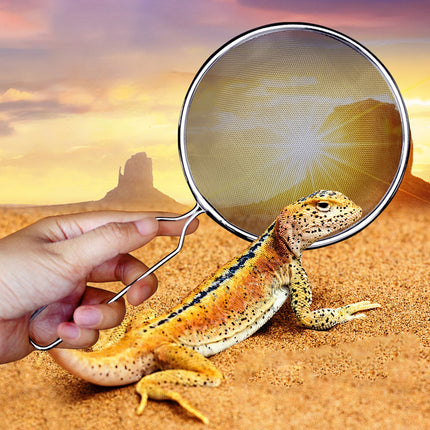 Reptile Stainless Steel Sand Shovel Terr Cleaner Substrate Scoop Pets Habitat