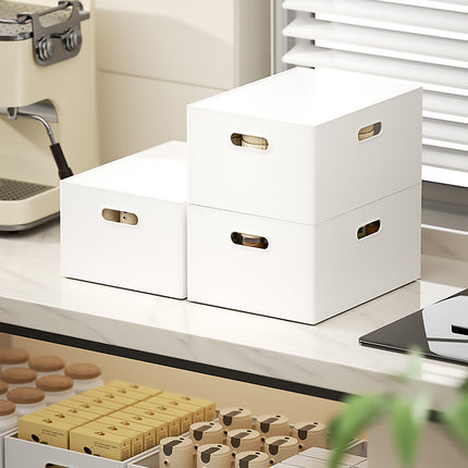 Portable Storage Box White M/L with Lid