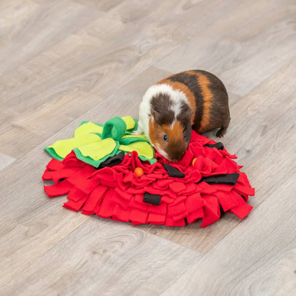 Strawberry Shaped Pet Snuffle Mat Slow Feeder Interactive Pet Puzzle Mat