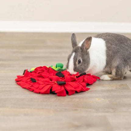 Strawberry Shaped Pet Snuffle Mat Slow Feeder Interactive Pet Puzzle Mat