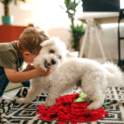 Strawberry Shaped Pet Snuffle Mat Slow Feeder Interactive Pet Puzzle Mat