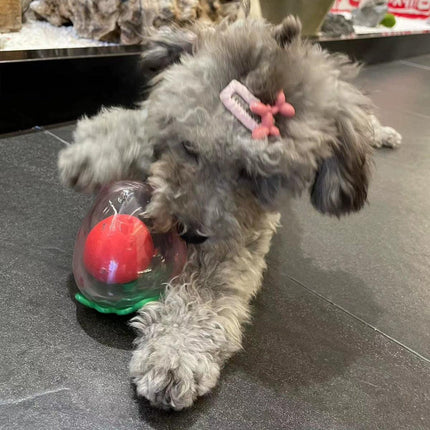 Dog Toy Squeaky Strawberry Shape Chew Ball Interactive Sound Pet Play Training