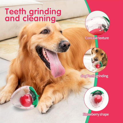Dog Toy Squeaky Strawberry Shape Chew Ball Interactive Sound Pet Play Training