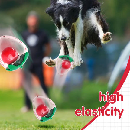 Dog Toy Squeaky Strawberry Shape Chew Ball Interactive Sound Pet Play Training
