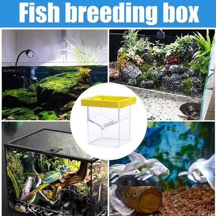 Fish Tank Breeding Box Floating Isolation Incubator Hatching Box for Aquarium