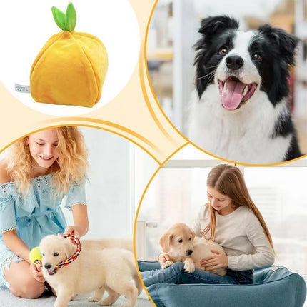 Dog Snuffle Toy Foraging Hide and Seek Food Interactive Puzzle for Dogs Cats