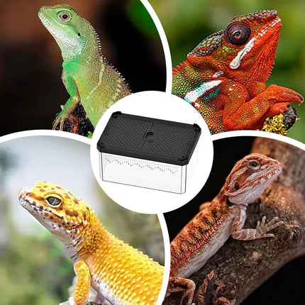 H12 Dual Sliding Lid Acrylic Reptile Breeding Box Small