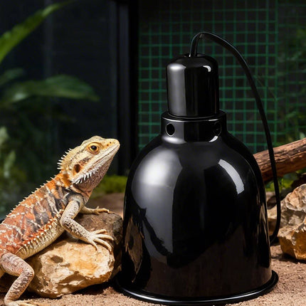 Timed Reptile Heat and UVB Basking Lamp for Turtle Lizard Bearded Dragon Tank