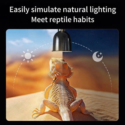 Timed Reptile Heat and UVB Basking Lamp for Turtle Lizard Bearded Dragon Tank