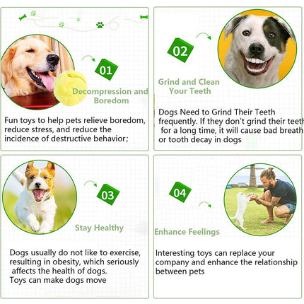 Automatic Magic Roller Ball Cleaner for Pet Active Electric Rolling Cleaner