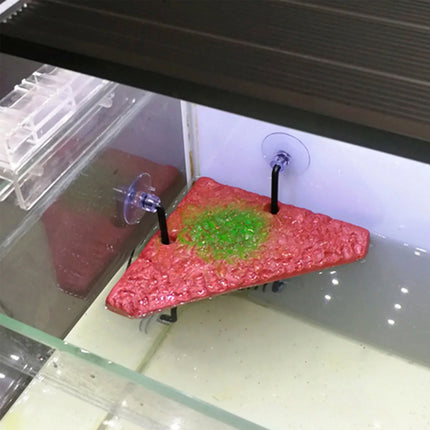 Turtle Basking Platform Floating Dock Durable 3 Options for Aquarium Tank Use