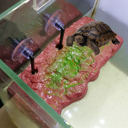 Turtle Basking Platform Floating Dock Durable 3 Options for Aquarium Tank Use