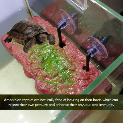 Turtle Basking Platform Floating Dock Durable 3 Options for Aquarium Tank Use