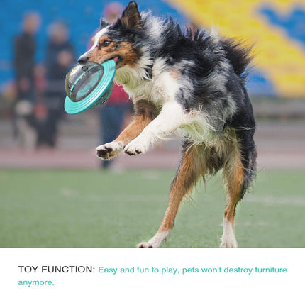 Leaky Ball Teething Toy Frisbee for Dogs and Cats Training Interactive Pet Toy