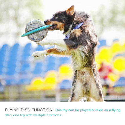 Leaky Ball Teething Toy Frisbee for Dogs and Cats Training Interactive Pet Toy