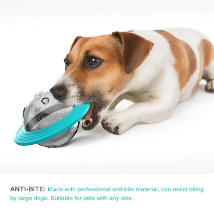 Leaky Ball Teething Toy Frisbee for Dogs and Cats Training Interactive Pet Toy
