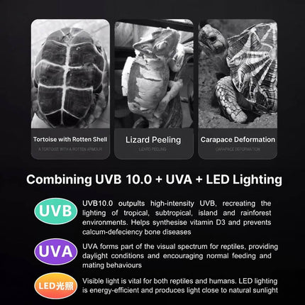 UVB 10 LED Reptile Lamp Bar 6W 290mm with Controller