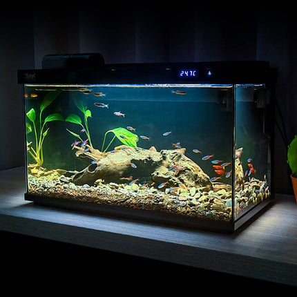 Ultra White Glass Fish Tank Desktop Aquarium Built In Filter Pump LED Oxygen