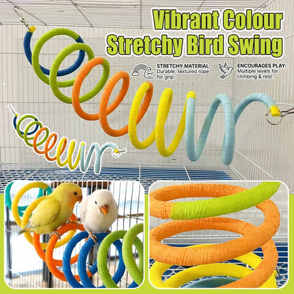 Colourful Spiral Bird Swing Toy Hanging Tunnel Perch for Small Parrots Budgies