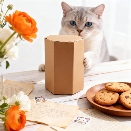 20PCS Kraft Paper Gift Box Hexagon Party Wedding Casndy Craft Packaging Box
