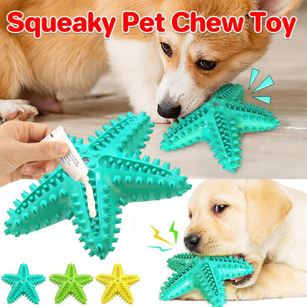 Pet Starfish Floating Dog Toy Audible Water Toy for Dogs Interactive Play Fun
