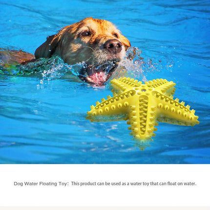 Pet Starfish Floating Dog Toy Audible Water Toy for Dogs Interactive Play Fun