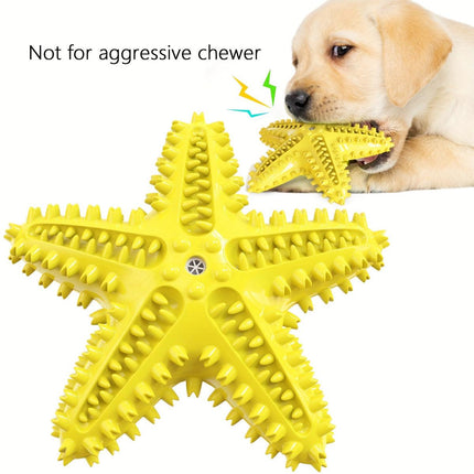 Pet Starfish Floating Dog Toy Audible Water Toy for Dogs Interactive Play Fun