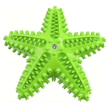 Pet Starfish Floating Dog Toy Audible Water Toy for Dogs Interactive Play Fun