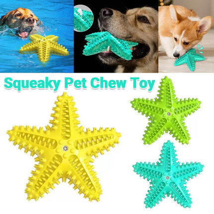 Pet Starfish Floating Dog Toy Audible Water Toy for Dogs Interactive Play Fun