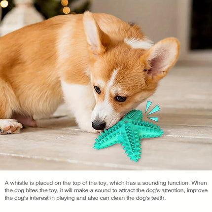 Pet Starfish Floating Dog Toy Audible Water Toy for Dogs Interactive Play Fun