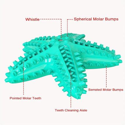 Pet Starfish Floating Dog Toy Audible Water Toy for Dogs Interactive Play Fun